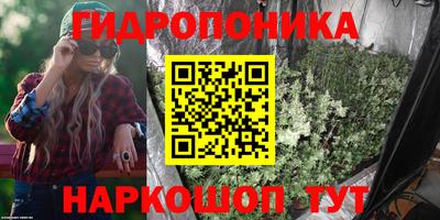 прущие крисы Мариинск