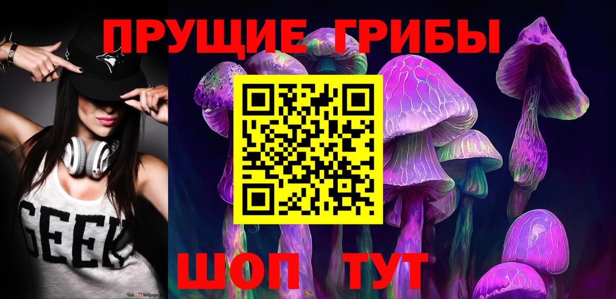 Псилоцибиновые грибы мухоморы  Вход с VPN  Заводоуковск 