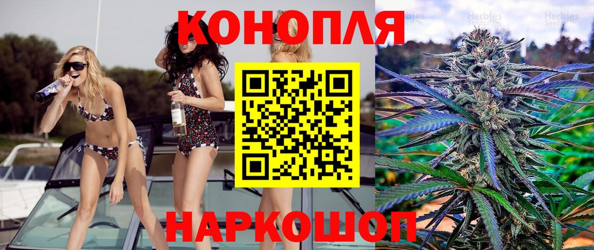 Каннабис гибрид Заводоуковск